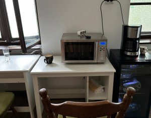 Apartment 2 rooms for rent in Cluj-napoca, zone Centru
