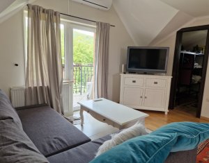 Ház 4 szobák kiadó on Cluj-napoca, Zóna Borhanci