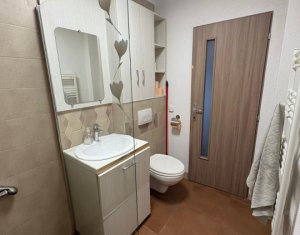 Appartement 2 chambres à louer dans Cluj-napoca, zone Marasti