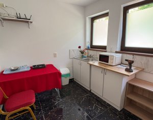Lakás 1 szobák kiadó on Cluj-napoca, Zóna Centru