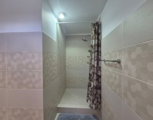 Ház 5 szobák kiadó on Cluj-napoca, Zóna Centru