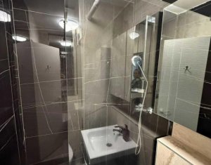 Apartament de inchiriat, 2 camere, Cartierul Ghoergheni