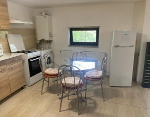 Appartement 1 chambres à louer dans Cluj-napoca