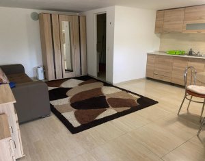 Appartement 1 chambres à louer dans Cluj-napoca