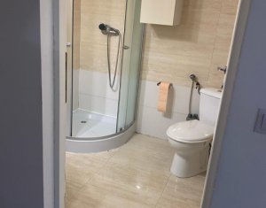 Appartement 1 chambres à louer dans Cluj-napoca