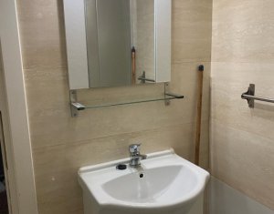 Appartement 1 chambres à louer dans Cluj-napoca