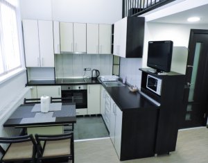 Apartment 1 rooms for rent in Cluj-napoca, zone Manastur