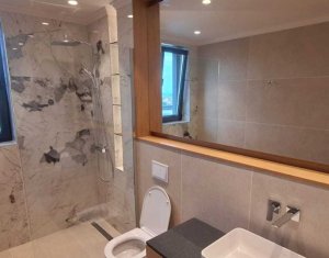 Appartement 3 chambres à louer dans Cluj-napoca, zone Buna Ziua