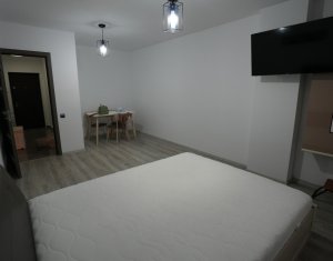 Appartement 1 chambres à louer dans Floresti