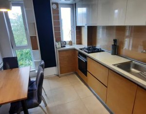 Apartment 2 rooms for rent in Cluj-napoca, zone Andrei Muresanu