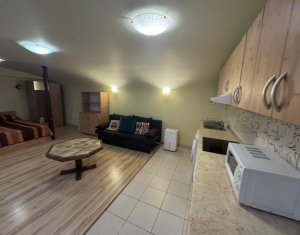 Appartement 1 chambres à louer dans Cluj-napoca, zone Centru