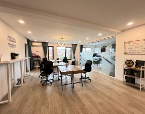 Birouri moderne in vila zona, parcari, gradina, zona Interservisan 