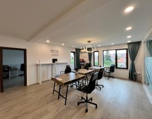 Birouri moderne in vila zona, parcari, gradina, zona Interservisan 