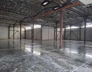 Espace Industriel à louer dans Cluj-napoca, zone Dambul Rotund