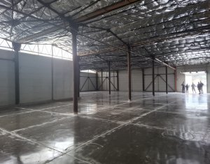 Espace Industriel à louer dans Cluj-napoca, zone Dambul Rotund