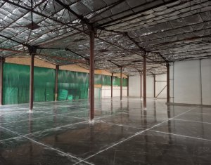 Espace Industriel à louer dans Cluj-napoca, zone Dambul Rotund