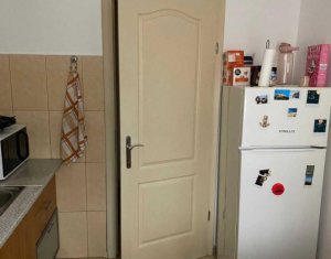 Apartment 1 rooms for rent in Cluj-napoca, zone Buna Ziua