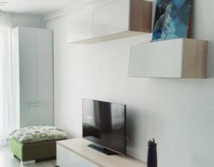 Apartment 2 rooms for rent in Cluj-napoca, zone Buna Ziua