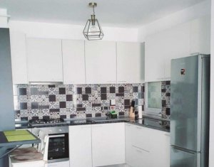 Apartment 2 rooms for rent in Cluj-napoca, zone Buna Ziua