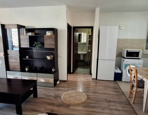 Apartment 2 rooms for rent in Cluj-napoca, zone Buna Ziua