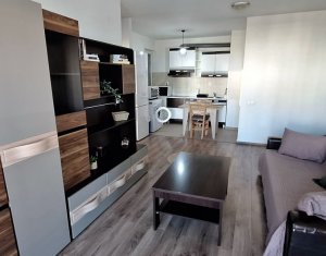 Apartment 2 rooms for rent in Cluj-napoca, zone Buna Ziua