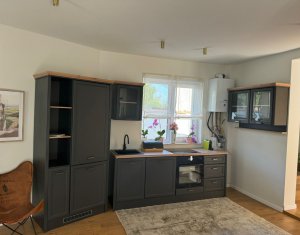 Casa individuala, Andrei Muresanu, terasa penthouse, parcare, curte