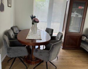 Casa individuala, Andrei Muresanu, terasa penthouse, parcare, curte