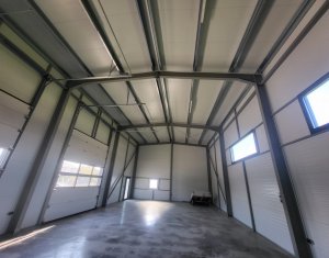 Industrial space for rent in Luna De Sus