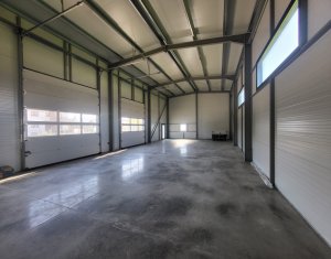 Industrial space for rent in Luna De Sus