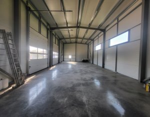 Industrial space for rent in Luna De Sus