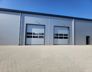 Industrial space for rent in Luna De Sus