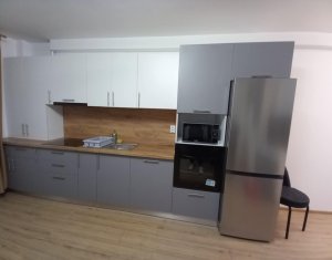 Apartment 2 rooms for rent in Cluj-napoca, zone Iris