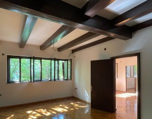 Vila interbelica pentru spatiu de birouri, str Republicii 