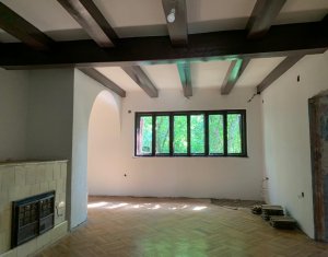Vila interbelica pentru spatiu de birouri, str Republicii