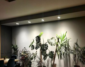 Apartment 3 rooms for rent in Cluj-napoca, zone Borhanci