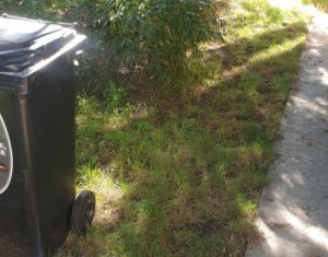 Casa de inchiriat, birouri sau locuinta, Grigorescu