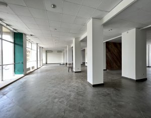 Espace Commercial à louer dans Cluj-napoca, zone Centru