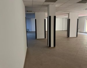 Iroda kiadó on Cluj-napoca, Zóna Marasti