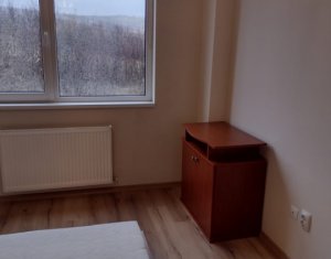 Appartement 2 chambres à louer dans Cluj-napoca, zone Borhanci