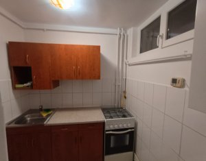 Garsoniera, Constantin Brancusi, Gherogheni, centrala proprie