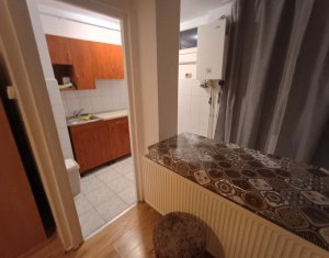 Garsoniera, Constantin Brancusi, Gherogheni, centrala proprie