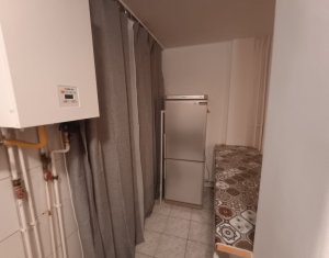 Garsoniera, Constantin Brancusi, Gherogheni, centrala proprie