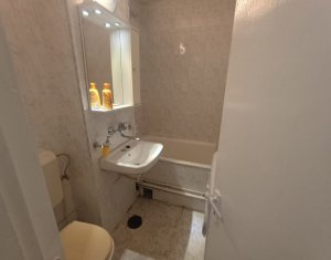 Garsoniera, Constantin Brancusi, Gherogheni, centrala proprie