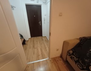 Garsoniera, Constantin Brancusi, Gherogheni, centrala proprie