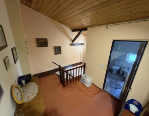 House 5 rooms for rent in Cluj-napoca, zone Centru