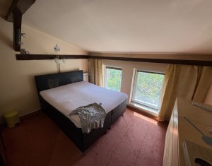 House 5 rooms for rent in Cluj-napoca, zone Centru