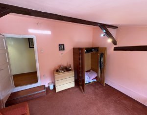 House 5 rooms for rent in Cluj-napoca, zone Centru