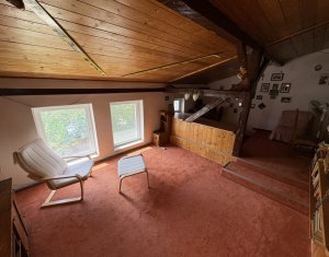 House 5 rooms for rent in Cluj-napoca, zone Centru