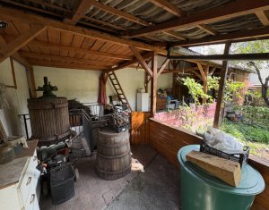 House 5 rooms for rent in Cluj-napoca, zone Centru