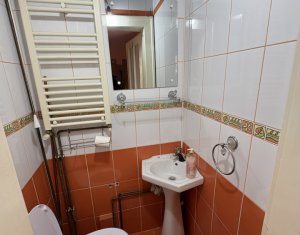 House 5 rooms for rent in Cluj-napoca, zone Centru